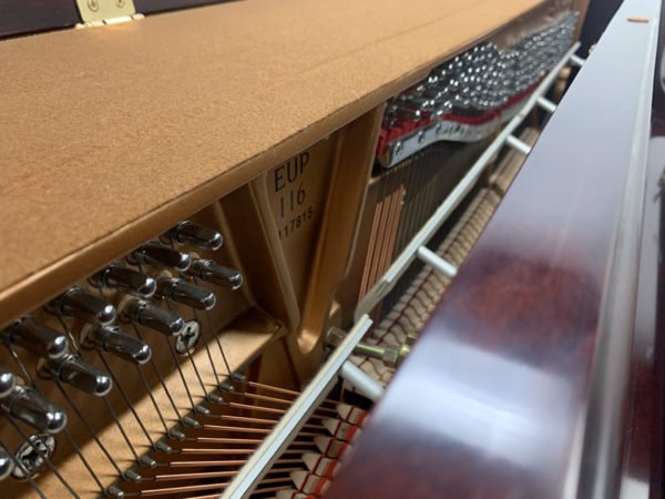 Essex EUP116 Piano Serial Number View