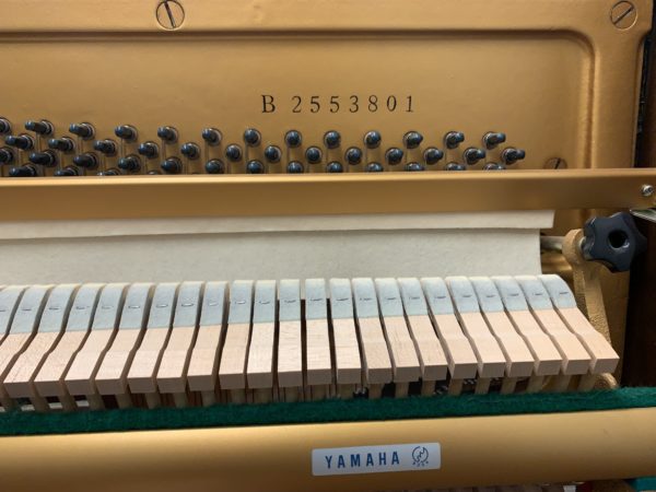 Yamaha P2F Piano Serial Number View 1