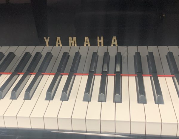 Yamaha C1 PE Piano Keys View
