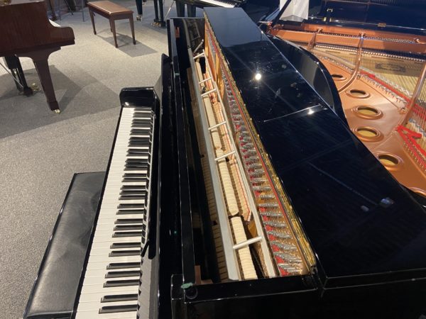 Essex EUP116 upright piano internal USED