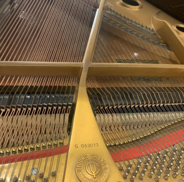 Young Chang G-157 Piano Sound Board View