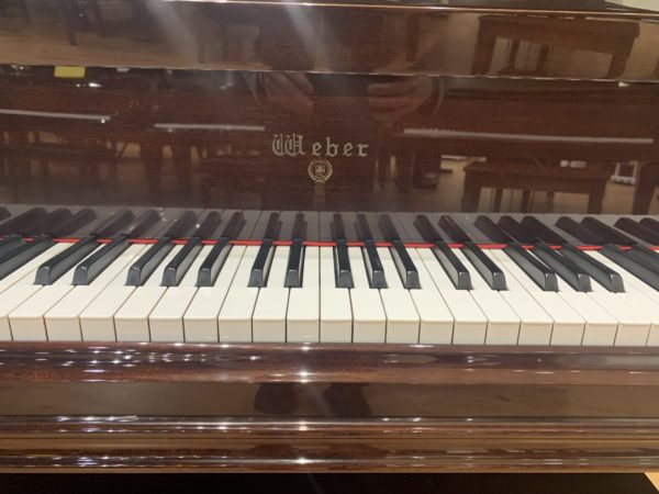 Weber WG50QAPM Piano Keys View