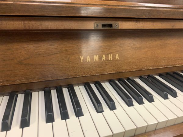 Yamaha P202 WAL Piano Keys View