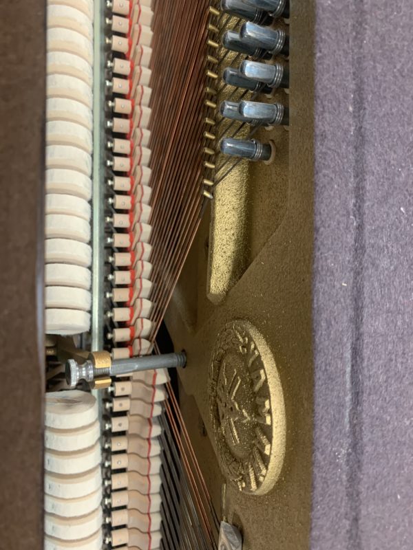 Yamaha P202 WAL Piano Sound Board View