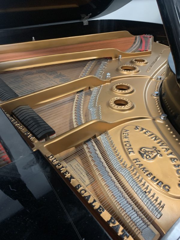 Steinway L Piano Sound Board View