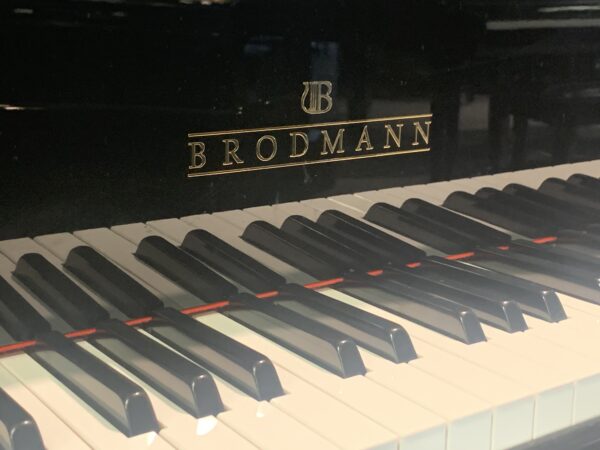 Brodmann CE175 Piano Keys View