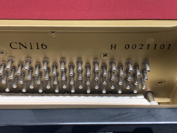 Cable-Nelson CN116 Piano Serial Number View