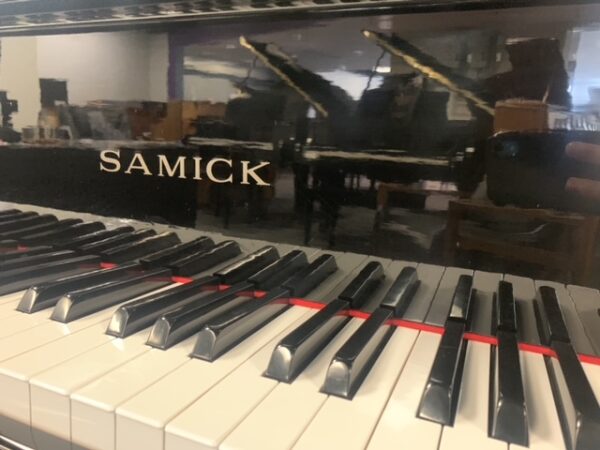 Samick SG-172 Piano Keys View