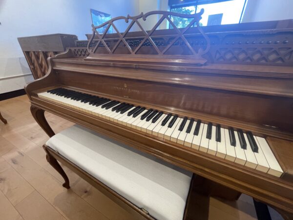 Steinway F Side View