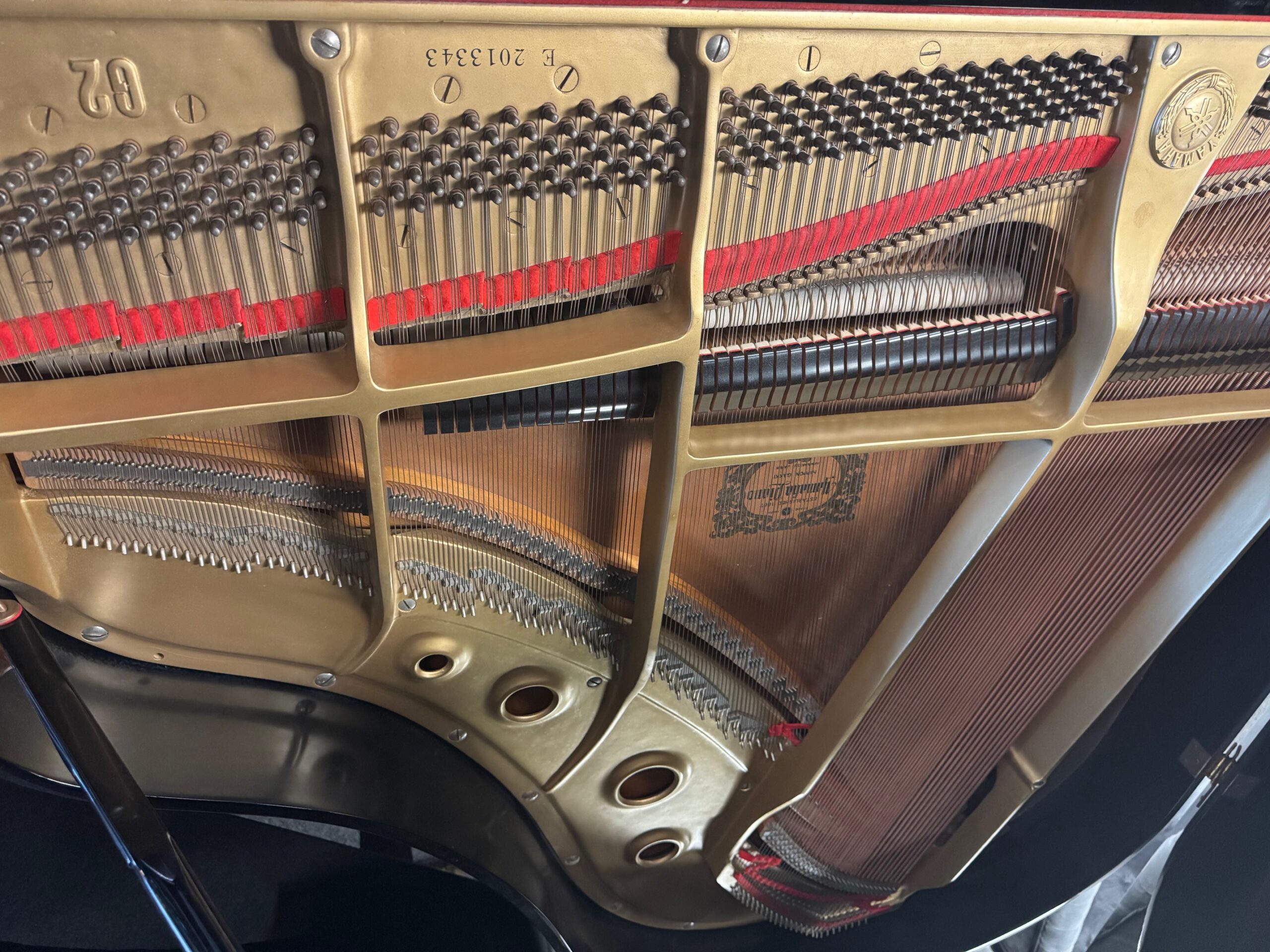 Solich-Piano-Cleveland-Yamaha-G2PE-Strings