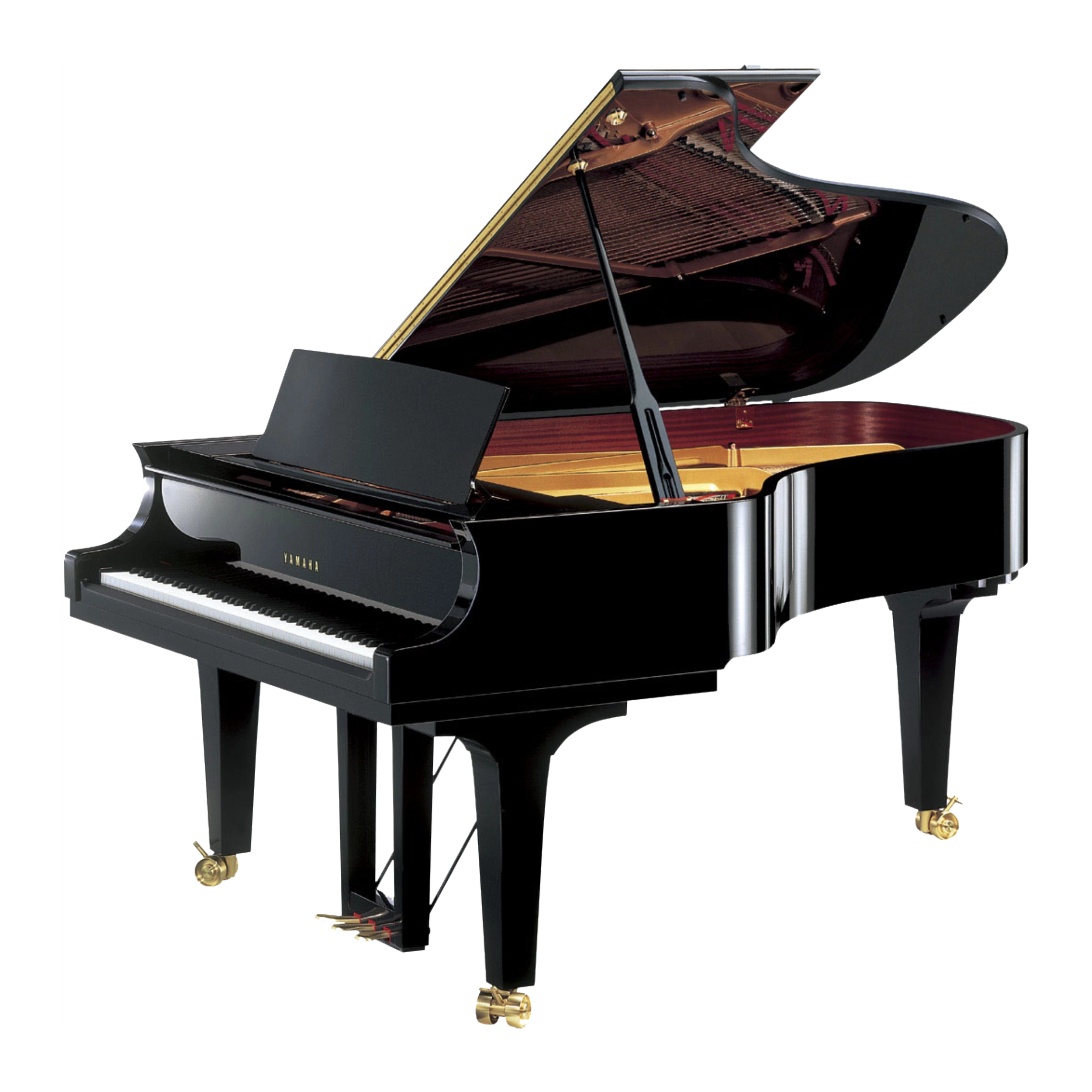 CF6 PE-web-compressed