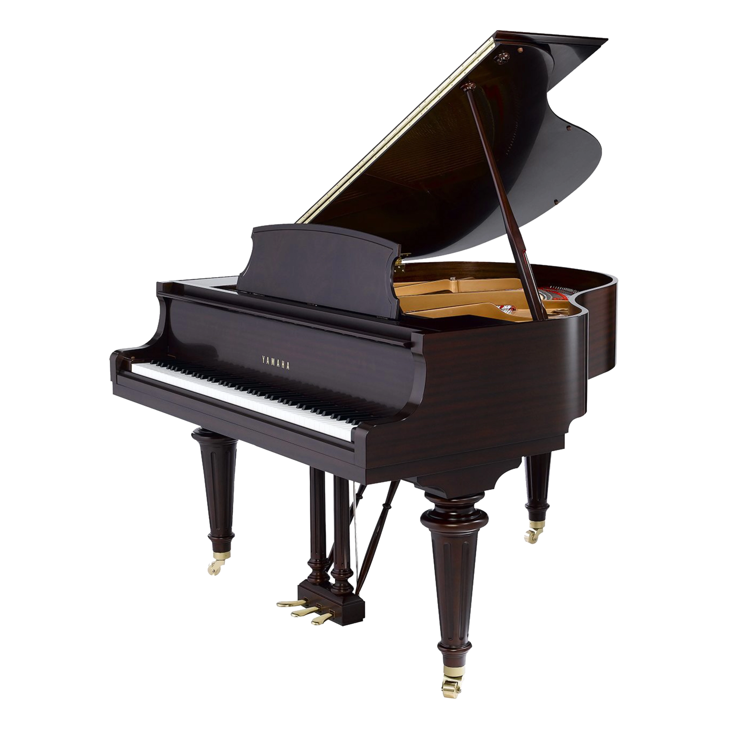 GB1K G-web-compressed