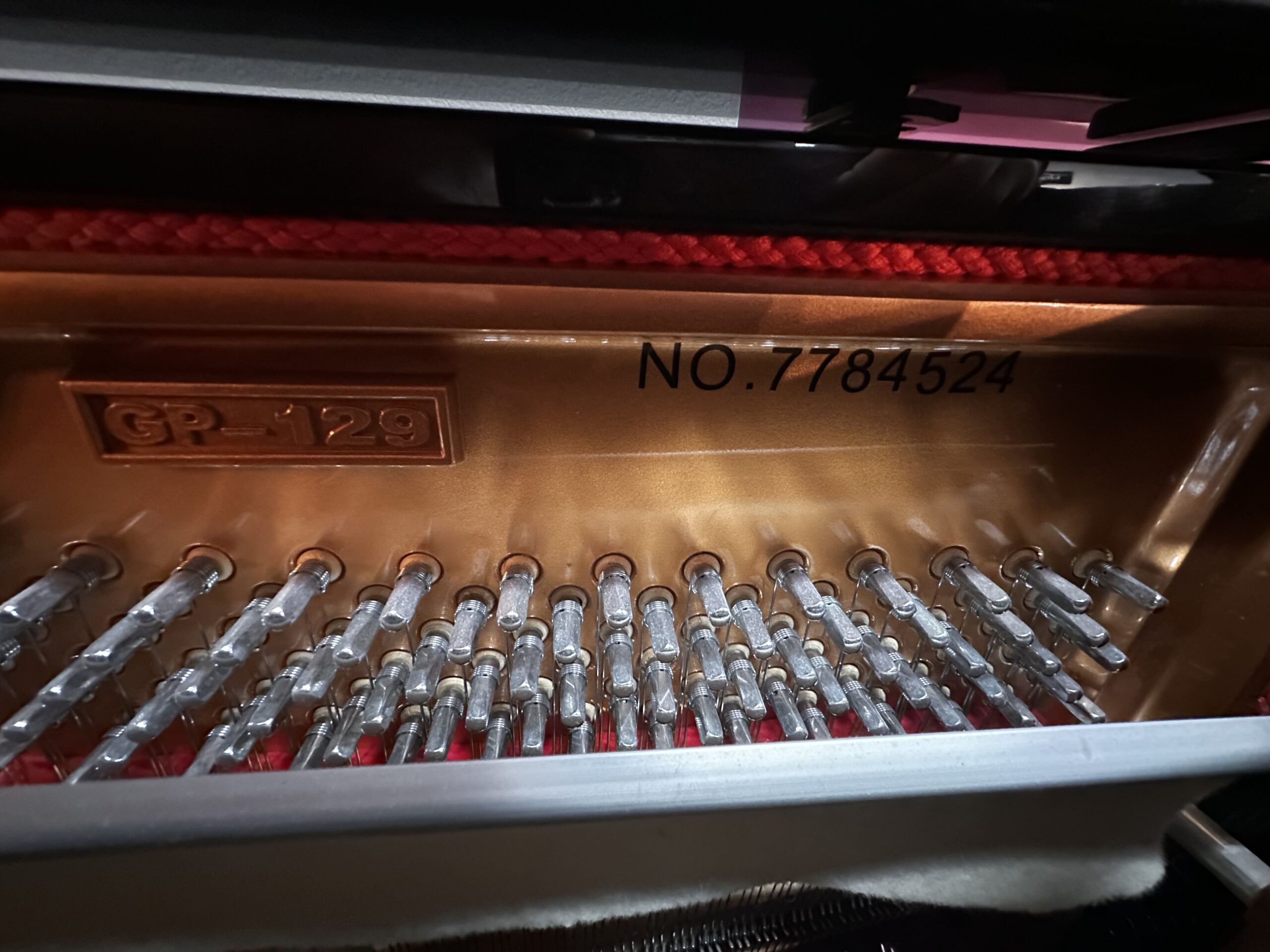 Perzina-GP-129-7784524-Serial