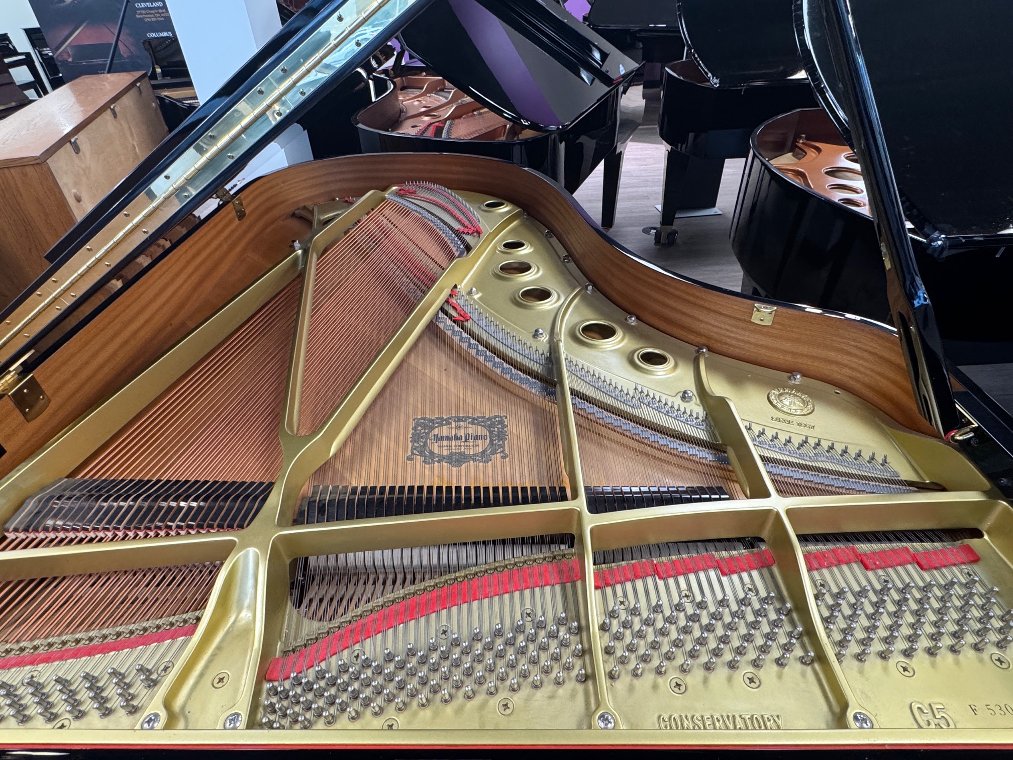 solich-piano-cleveland-yamaha-c5f-strings