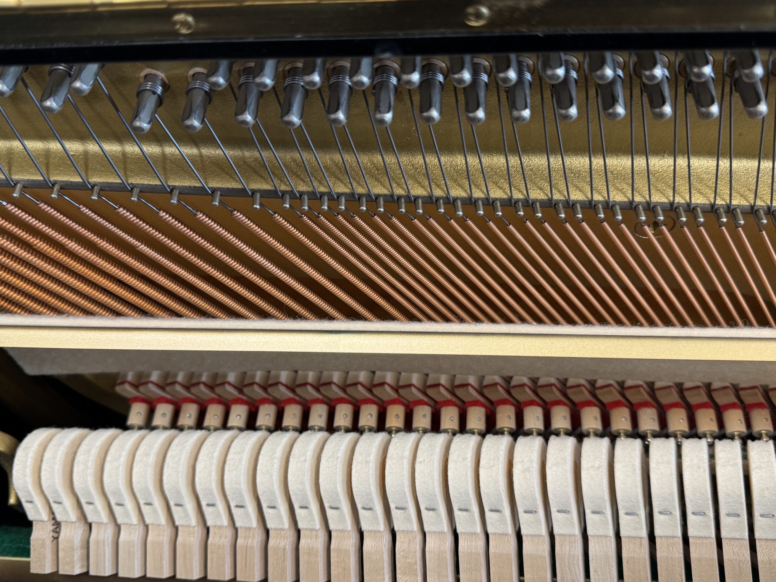 Solich-Piano-Cleveland-Yamaha-U1E-Hammers