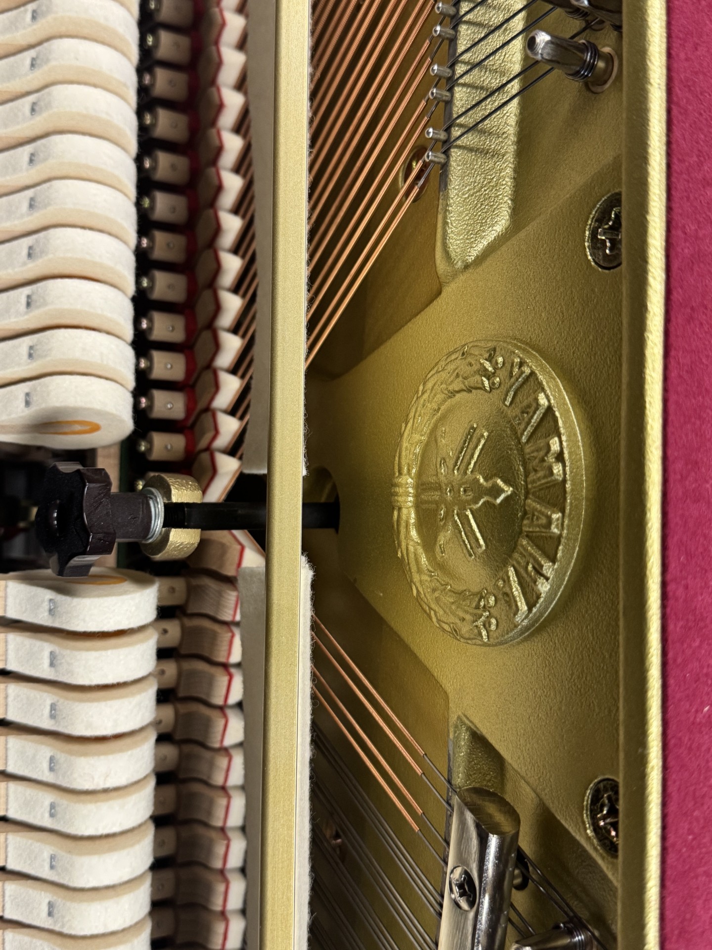 Solich-Piano-Cleveland-Yamaha-T116PE-Hammers
